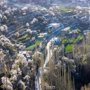 Meet your Posher, Aquarian